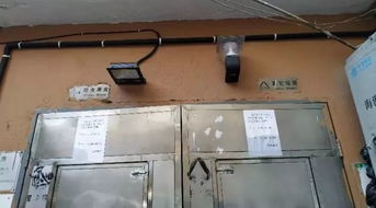 欧阳路街道新增132套“微改造”照明设施，点亮便捷生活新图景