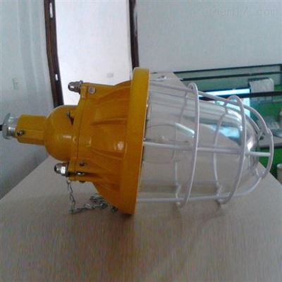 BAD系列防爆灯 化工行业照明安全的坚实保障